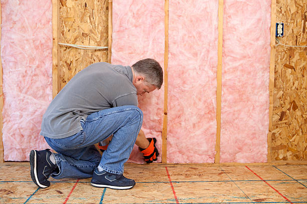 Best Soundproof Insulation  in Medulla, FL